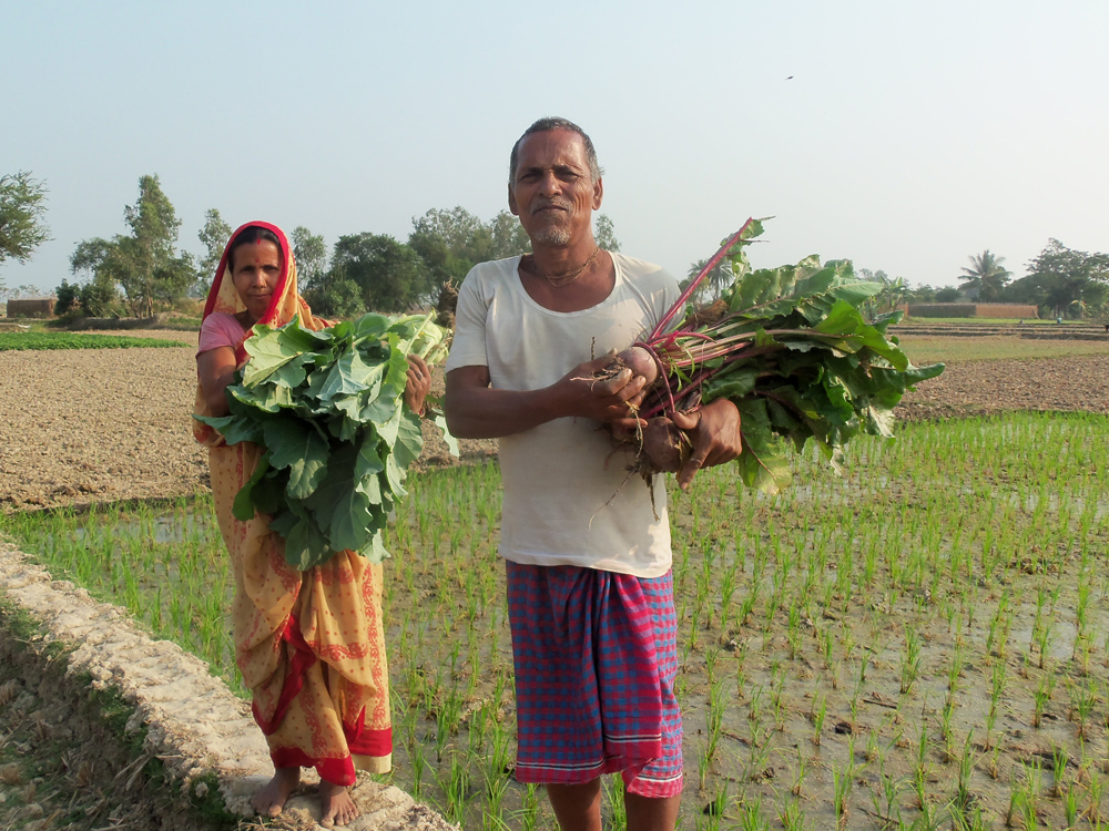 Agriculture
